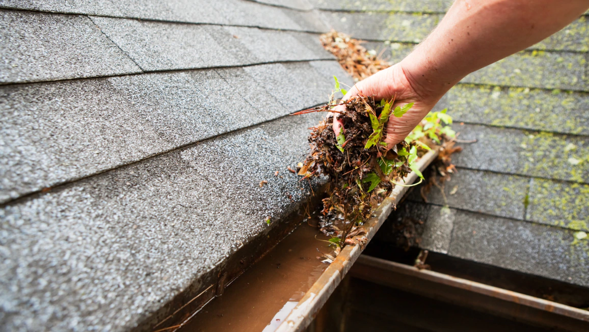 Gutter Cleaning (1)